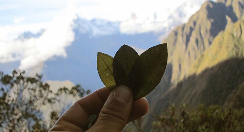 Overcoming Altitude Sickness in Cusco: Strategies for Adjusting to High Altitudes